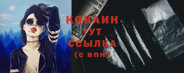 мяу мяу мука Белокуриха