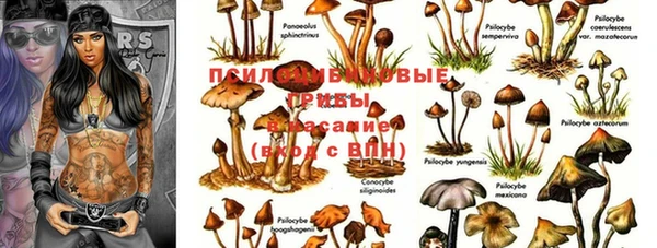 дживик Белоозёрский