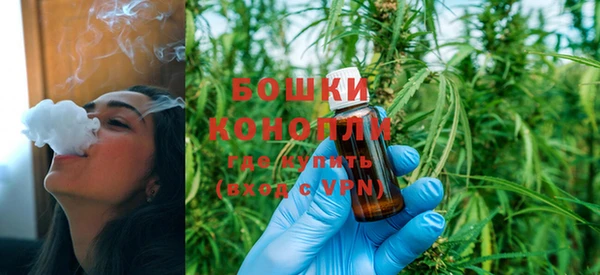 мяу мяу мука Белокуриха