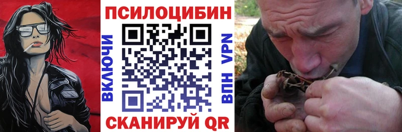 MEGA сайт  дарнет шоп  Салаир  Псилоцибиновые грибы мицелий 