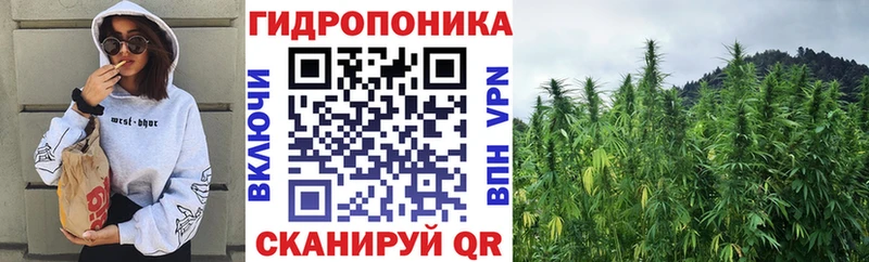Каннабис индика  Салаир 